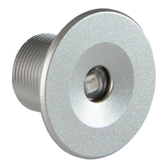 Lumitec Echo Courtesy Light Brushed Housing White Light 112203