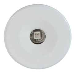 Lumitec Echo Courtesy Light White Housing Blue Light 112224