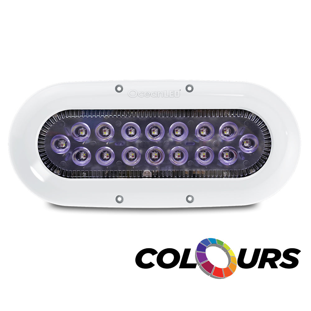 Ocean LED XSeries X16 Colours LEDs 012311C