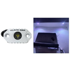 Black Oak Rock Accent Light White LEDs White Housing MALW