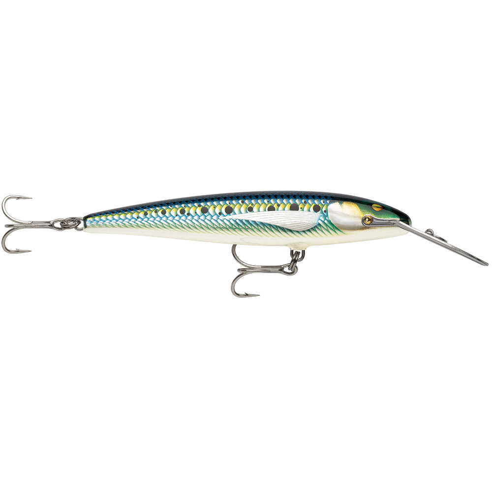 Rapala CountDown Magnum Elite 185  7  Armored Sardine CDMAGE185AMSRD